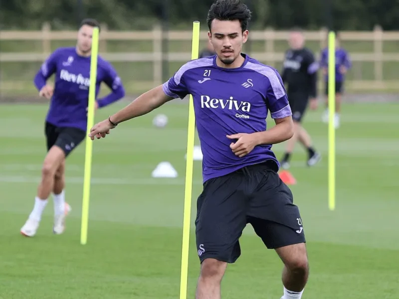 Analisis Kinerja Nathan Tjoe-A-On sebagai Gelandang Utama Swansea City